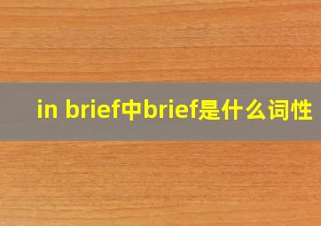 in brief中brief是什么词性